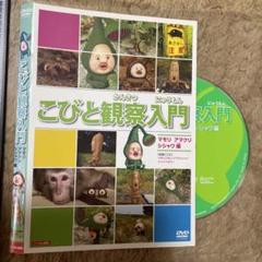 USED　こびとづかん　DVD ４点セット　かくれももじり　レンタル落ち Amazon.co.jp: こびと観察入門 モモジリ クサマダラ モクモドキ