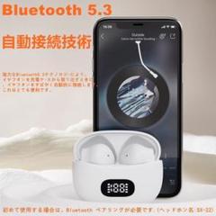 Bluetooth5.3 ワイヤレスイヤホン カルナ型自動ペアリングEDR搭載