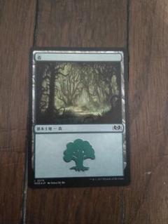 ◇森 Foil 日本語1枚 エルドレインの森
