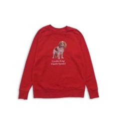 古着 キャバリア・キング・チャールズ・スパニエル スウェット 犬 L*SU151