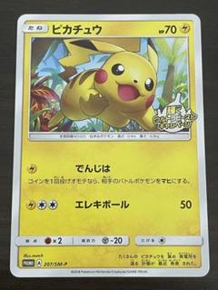 ふ*ー様 【プロモカードセット+α！】ポケモンパンプロモ+ウルトラビーストキャン ふ*ー様 【プロモカードセット+α！】ポケモンパンプロモ+