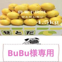 国産瀬戸田レモン4.5kg前後 BuBu様 - メルカリ