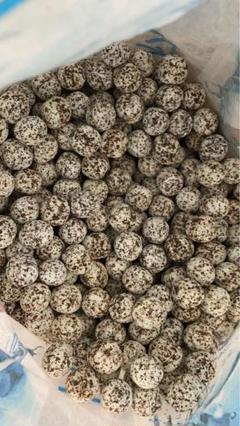 水質浄化抜群濾過材ボールろ材納豆菌入り多孔質パワーボール18L即時発送送料込み m60764810144_1.jpg?1752815261