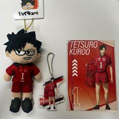 2025年最新】ハイキュープラザ ジロリ ぬいぐるみの人気アイテム