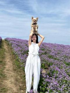 Bibiy 完売品白ロングパンツのサムネイル