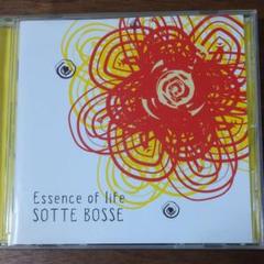 SOTTE BOSSE/Essence of lifeのサムネイル