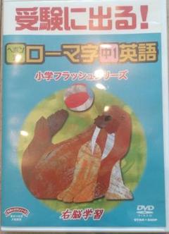 秀逸フラッシュ 　セット 秀逸フラッシュDVD