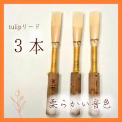宮原様専用 オーボエリードWHブルー5本 - メルカリ