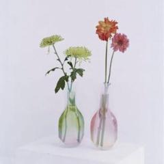 酒井真一 ガラス 1輪挿し 花瓶 花入 ガラス作家 高さ10cm 硝子 酒井真一 ガラス 1輪挿し 花瓶 花入 ガラス作家 高さ10cm 硝子