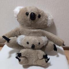 コアラ ぬいぐるみ 大小セット