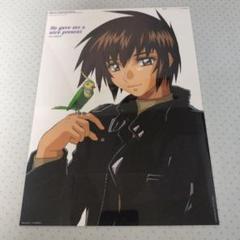 ガンダムSEED DESTINY フォトレート　6枚セット 815cK4-rB7L._UF894,1000_QL80_.jpg