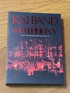 グレート！甲斐バンド　DVD セット40th  SYMPHONY DVD グレート様専用！甲斐バンド DVD セット40th SYMPHONY DVD
