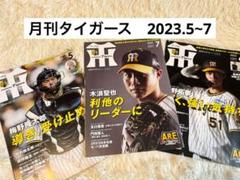 2025年最新】月刊タイガース 日本一の人気アイテム - メルカリ