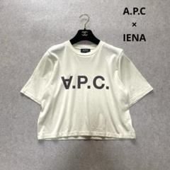 IENA A.P.C.別注 JERSEY COULEUR V.P.C. Tシャツ トップス