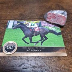 ソウルラッシュ デムーロ　世界限定 ホースレーシングカード 競馬　専用台座付　馬 2025年最新】ソウルラッシュ 馬の人気アイテム - メルカリ