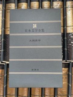 日本文学全集 44巻/45巻（42巻抜け）