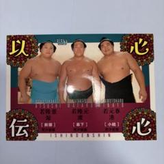 大相撲　若元春　力色紙　vol.4 大相撲グッズ 力色紙Vol.4 若元春 - スポーツ選手買う