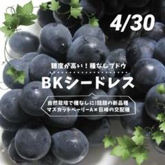 現品、ぶどうの苗※4種類　バラ売り可能ですが、割高になります　少しお値引き可能！ 現品、ぶどうの苗※4種類バラ売り可能ですが、割高になります少し