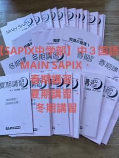 楽天市場】SAPIX中学部 サピックス 中3 国語 SS特訓/ASSIST 知識