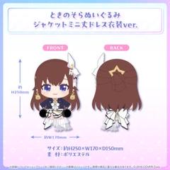 ホロライブ 7周年記念 ときのそら アクリルブロック アクリルスタンド ホロライブ 7周年記念 ときのそら アクリルブロック アクリル