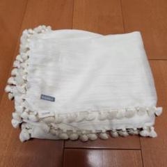m60853368320_1.jpg?1731306468