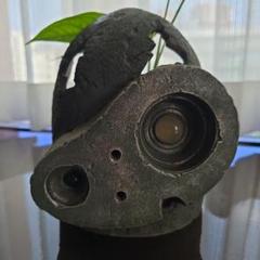 ロボット兵　プランター 2025年最新】天空の城ラピュタ プランターの人気アイテム - メルカリ