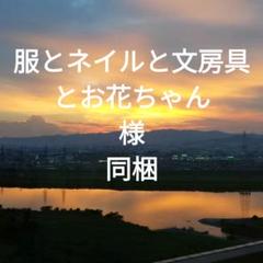 グニーユーカリ100本❗️HBスターチス400本❗️ グニーユーカリ100本❗️HBスターチス400本❗️ 楽天市場】hb