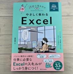 【美品】やさしく教わる Excel 2024 Microsoft 365 入門書