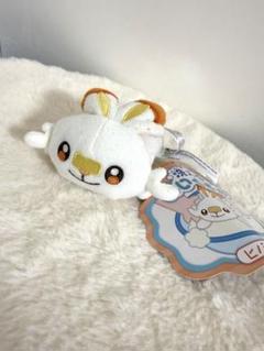 ポケモン　洗えるぬいぐるみ　ヒバニー