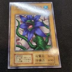 テンタクルプラント