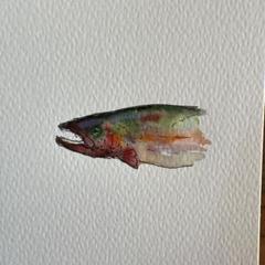 めばる, 水彩, 描かれた, 魚 色鉛筆画】春を告げる魚「メバル」を描いて食べました - YouTube