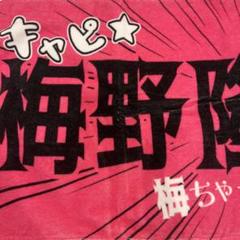 梅野隆太郎　少女漫画風シークレット　フェイスタオル　阪神タイガース