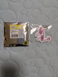 阪神タイガース 岩崎優 シークレット 立体サインアクリルチャーム