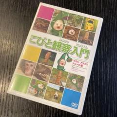 (未使用･未開封品)　こびと観察入門 マモリ アマクリ シシャワオドリ編 [DVD] 60wa65s Amazon.co.jp: こびと観察入門 マモリ アマクリ シシャワオドリ