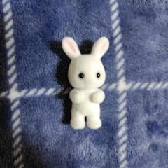 シルバニア　しろうざぎの赤ちゃん