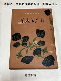 大正　新少年文集