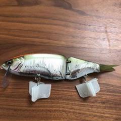☆新品☆DRT　タイニークラッシュ　琵琶銀ハス m60970182510_1.jpg?1646103280
