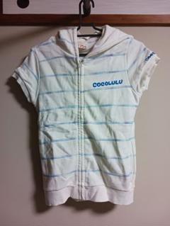 COCOLULU 半袖パーカー 青色