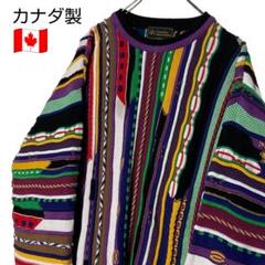 古着 カナダ製 総柄3Dニット クージー風 クレイジーカラー L 肉