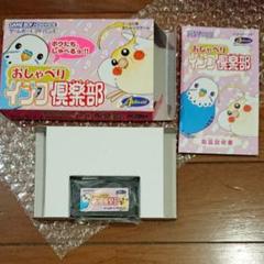 おしゃべりインコ倶楽部の中古 未使用品を探そう メルカリ