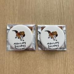 ジュラシックワールド　缶バッジ　アクイロプス ドロレス　2点セット