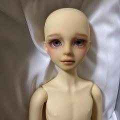ミニスーパードルフィー シュルツ msd