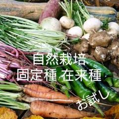 無農薬 自然栽培野菜のオタメシたからばこ