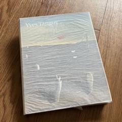 SALE イヴ・タンギー　Yves Tanguy 画集　シュルレアリスム 図録 イヴ・タンギー Yves 扱う Tanguy 画集 シュルレアリスム 図録