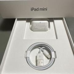 iPad iPhone純正イヤホン付属品　充電器セット