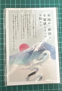 年賀状じまい2025（新年お知らせ）私製10枚入り【特選デザイナーズ】パピレイ