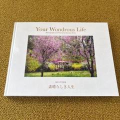風の彩 花の調べ 池田大作写真集 セール 登場から人気沸騰】 池田大作写真集 ノース - 喜び奏でて
