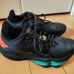 未使用　nova surge low ballaholic 28.5 cm ballaholic Asics Nova Surge Low Vanilla Mineral Brown