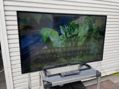 VIERA 液晶テレビ ジャンク品 Yahoo!オークション -「(panasonic パナソニック) viera