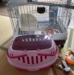 ※18日迄【ウサギ】飼育セット【現物手渡し】 18日迄【ウサギ】飼育セット【現物手渡し】